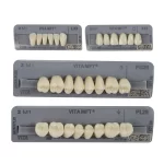 Vita MFT Denture Teeth 2M1 (Set of 28)
