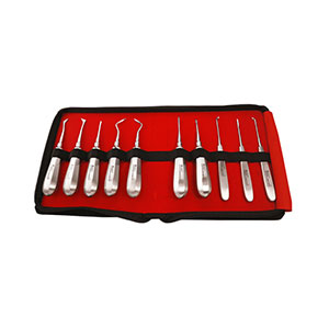 GDC Root Elevators Standard Set Of 10 With Warwick James
